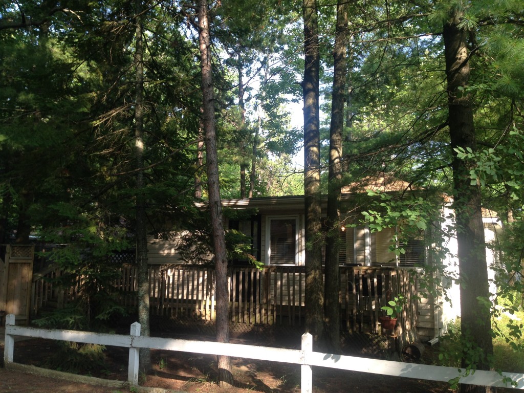 wasaga beach real estate