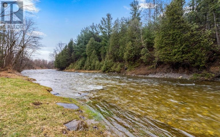 3237 COLLINGWOOD STREET Clearview