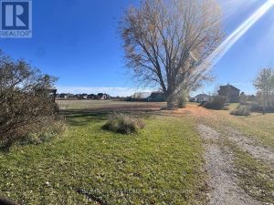 211 QUEEN STREET W Springwater (Elmvale)