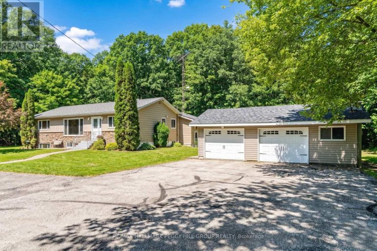 350 5 CONCESSION W Tiny