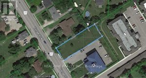 25 YONGE STREET N Springwater (Elmvale)