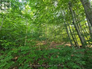 126 OLD HIGHWAY 26 HIGHWAY Meaford