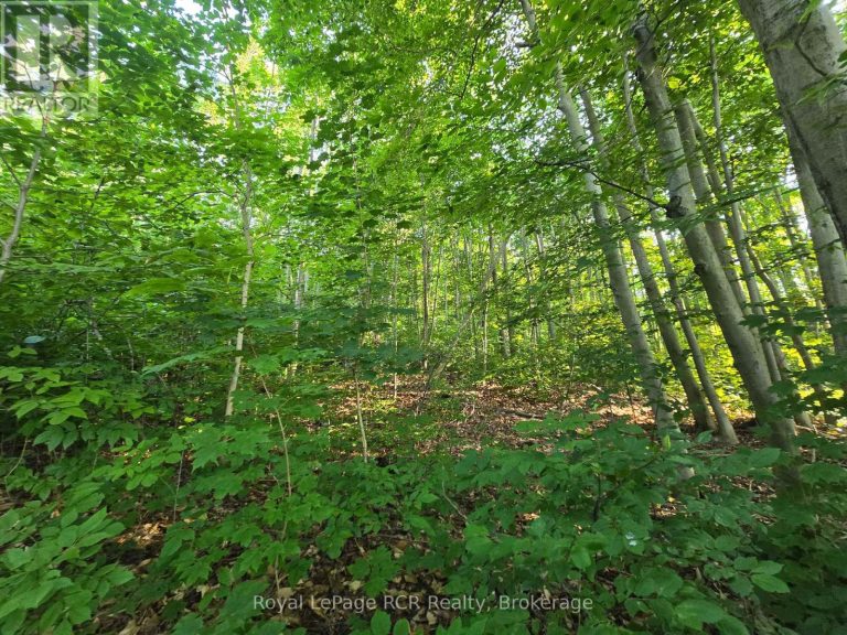 126 OLD HIGHWAY 26 HIGHWAY Meaford