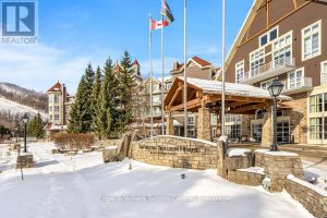 321 - 220 GORD CANNING DRIVE Blue Mountains
