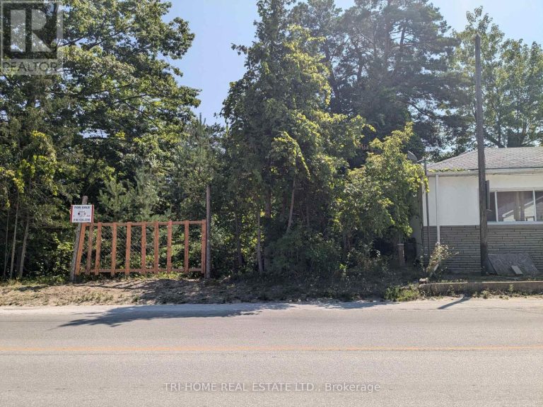 163 MOSLEY STREET Wasaga Beach
