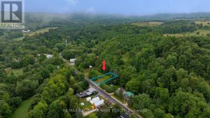 8968 COUNTY ROAD 9 Clearview
