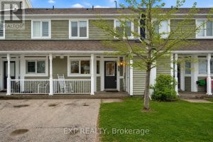 22 CRANBERRY SURF Collingwood