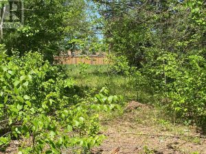 10 JONATHAN COURT N Clearview (Stayner)