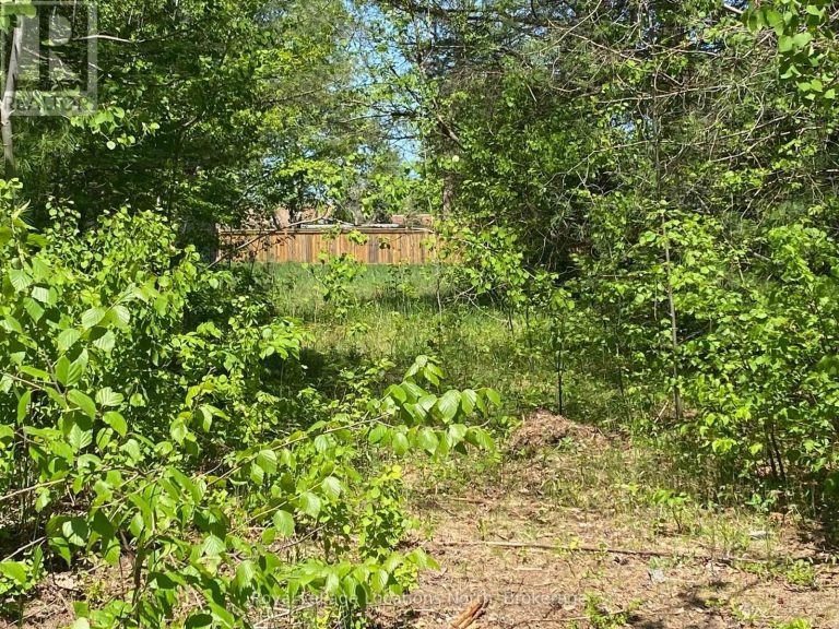 10 JONATHAN COURT N Clearview (Stayner)