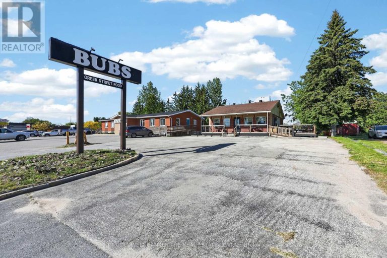 56 YONGE STREET S Springwater (Elmvale)