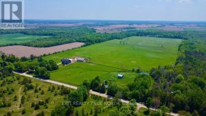 199 3 CONCESSION ROAD W Tiny