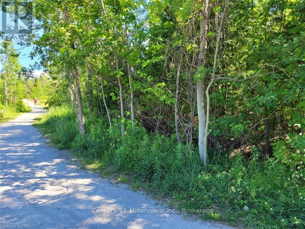 11325 26 HIGHWAY Collingwood