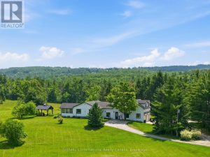 9263 91 COUNTY ROAD Clearview
