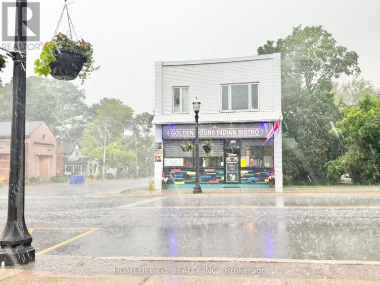 46 QUEEN STREET Springwater (Elmvale)