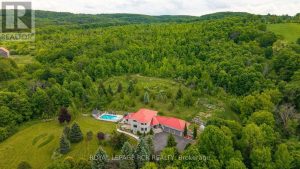 529648 OSPREY-THE BLUE MOUNTAINS TOWNLINE Grey Highlands