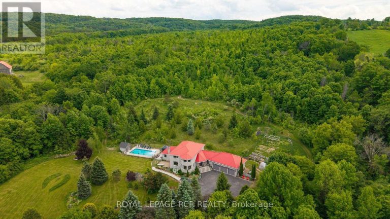 529648 OSPREY-THE BLUE MOUNTAINS TOWNLINE Grey Highlands