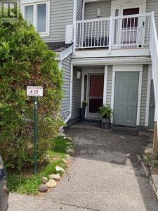 131 - 55 TROTT BOULEVARD Collingwood