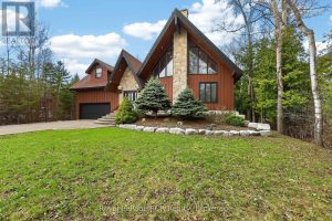 53 BROADVIEW STREET Collingwood