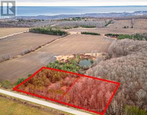 LOT 15 3RD LINE E Blue Mountains